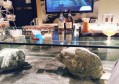 烧菜文案剪辑招聘（烹饪视频剪辑师招募）
